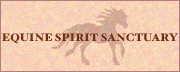 Horseback riding tours, trail riding, mountain biking in Taos, NM.