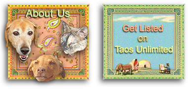 Information about WebWorks Unlimited, and Taos Unlimited designers Aimee and Jean